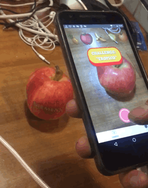 Example Screen of the Apple or Die App